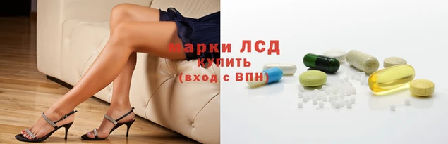 гидра Абаза