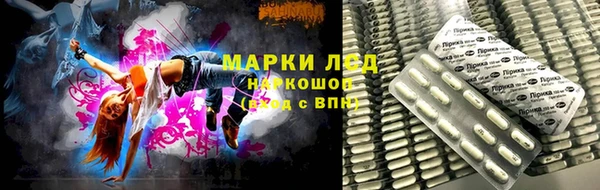 стафф Алексин